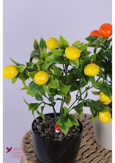 Yapay Çiçek Sitesi Plastik Saksıda Yapay Mini Limon & Mandalina Tanzimi 2 Li Set 33 Cm Çok Renkli