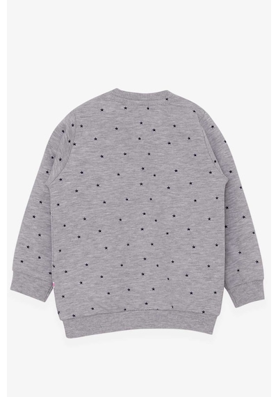 Breeze Kız Bebek Sweatshirt Mutlu Kedicikler 4 Ay-1.5 Yaş, Gri Melanj Gri Melanj