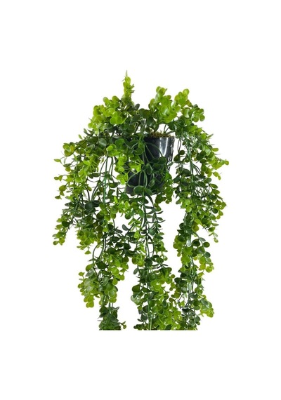 Nettenevime Yapay Çiçek Saksıda Sarkan Şimşir Okaliptus Yapay Sarmaşık 60cm Çok Renkli