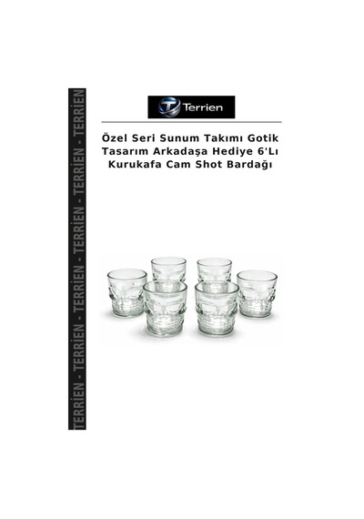 Özel Seri Sunum Takımı Gotik Tasarım Arkadaşa Hediye 6'lı Kurukafa Cam Shot Bardağı