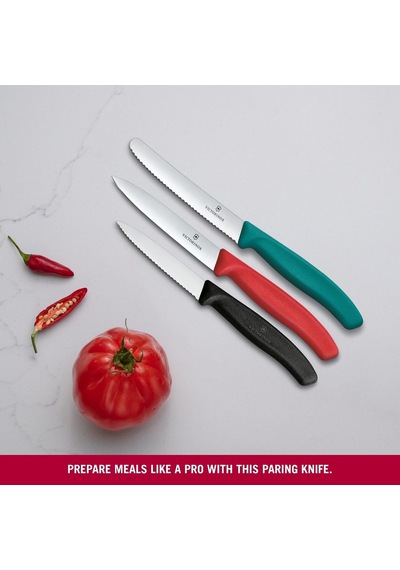 Ayrex Victorinox 6.7116.34c1 Swiss Classic 3lü Bıçak Set, Renkli Diğer