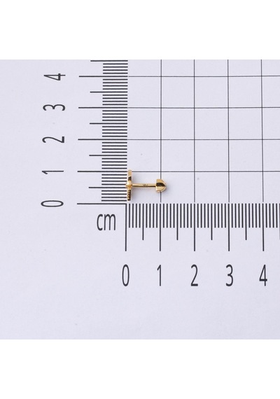 Bilezikci Amazon 14 Ayar Altın Tragus Küpe Kphsy14k22482 Sarı