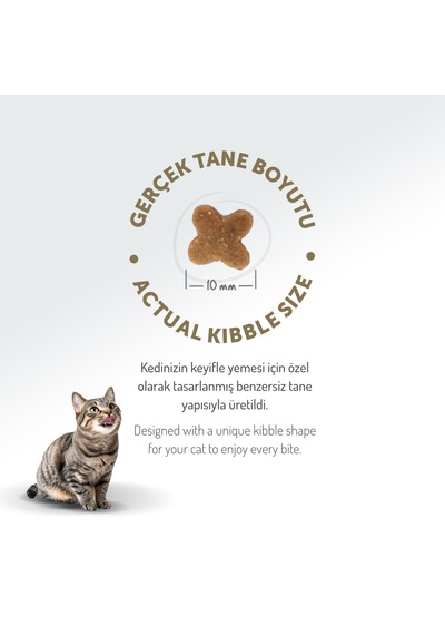 Felicia Kitten Tavuklu ve Hamsili Düşük Tahıllı Yavru Kedi Maması 12 KG
