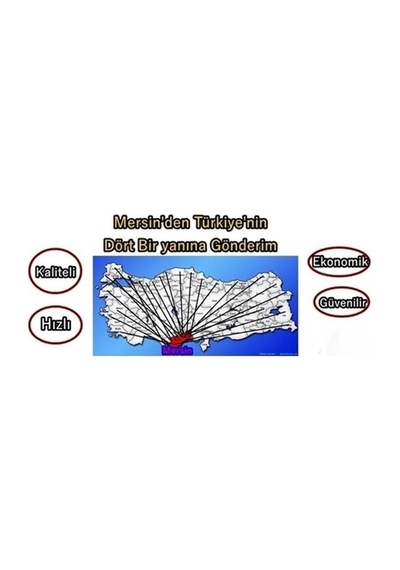 Sanayi Fritöz Isıtıcı Rezistans 2400w - Sern R4024 Cr304 230v
