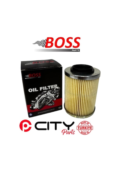 Cf Moto C Force 800 2013-2024 Yağ Filtresi Boss Ct2276