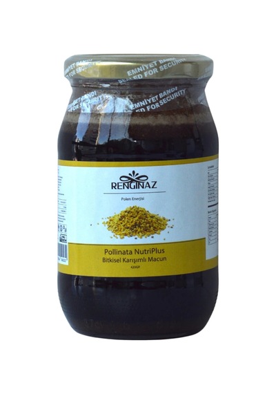 Pollinata Nutriplus Bitkisel Karışımlı Macun 420 Gr