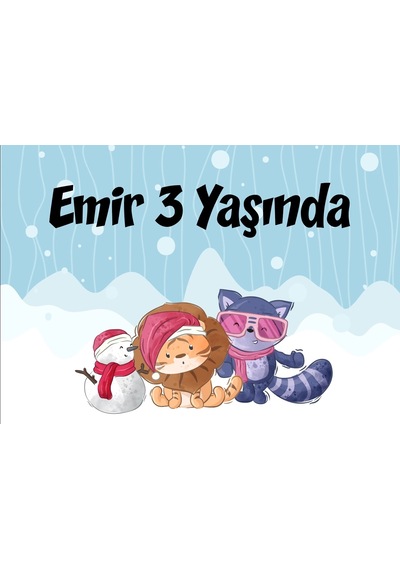 Sevimli Hayvanlar Kış Temalı Doğum Günü Afişi 50x70 Cm