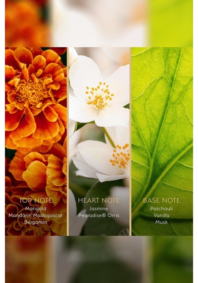 Origen Himalayan Jasmine Serenade Saç Ve Vücut Spreyi 236ml