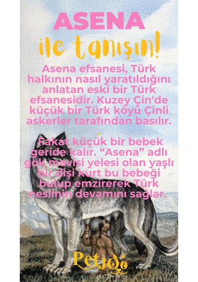 Petjoo 25.Asena Sarı-Pembe Qr'lı Köpek Künyesi