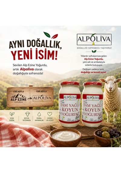 Alpoliva Koyun Yoğurdu 2 Adet 1.000 G 2.000 G