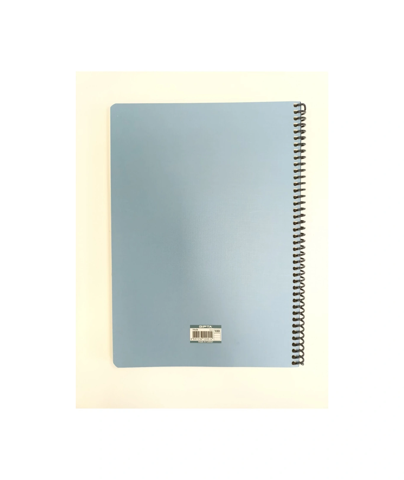 Artmaster Çizgili Inci Küpeli Kız Defter Karışık