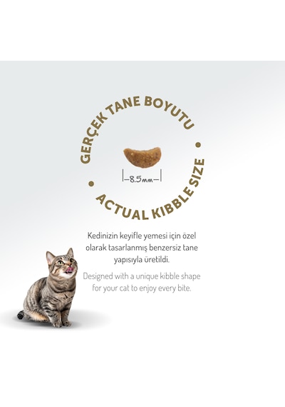 Felicia Hypoallergenic Düşük Tahıllı Kuzu Etli Yetişkin Kedi Maması 2 KG