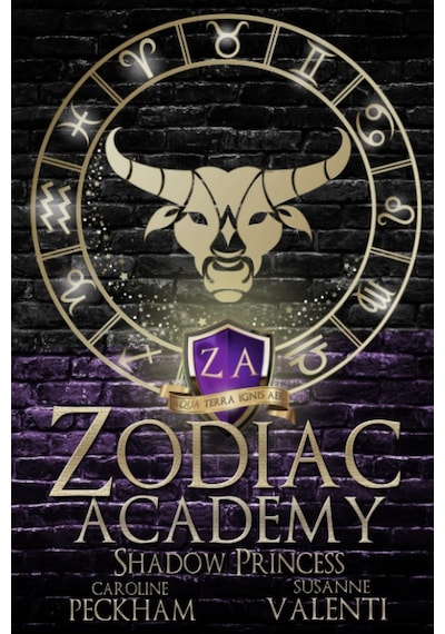 Zodiac Academy 4: Shadow Princess
