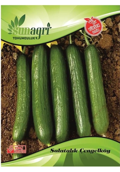 Sunagri Çengelköy Salatalık Tohumu