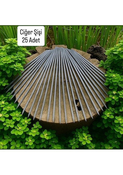 25 Adet Ciğer Şişi,galvaniz Mangal Ciğer Şişi 55 Cm