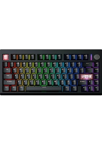 Mk921 Maxfıt8 Black White Switch Hotswap Rgb Kablosuz İngilizce Mekanik Gaming Klavye