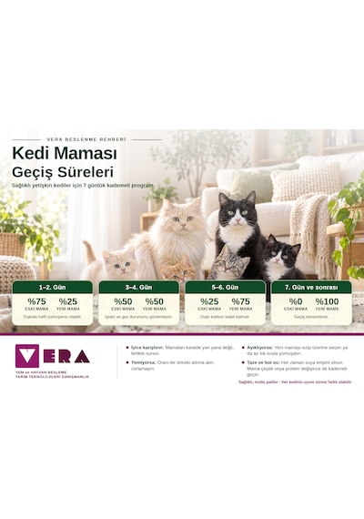Enjoy Yetişkin Kediler İçin Tavuklu Tam Ve Dengeli Kedi Maması 15 Kg