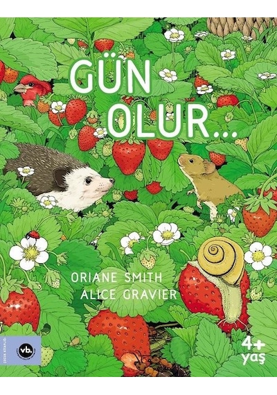 Gün Olur - Oriane Smith - VakıfBank Kültür Yayınları