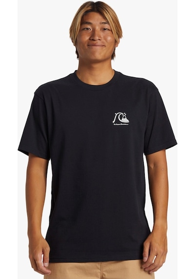 Quiksilver The Boardshort Erkek T-Shırt AQYZT0 - Siyah