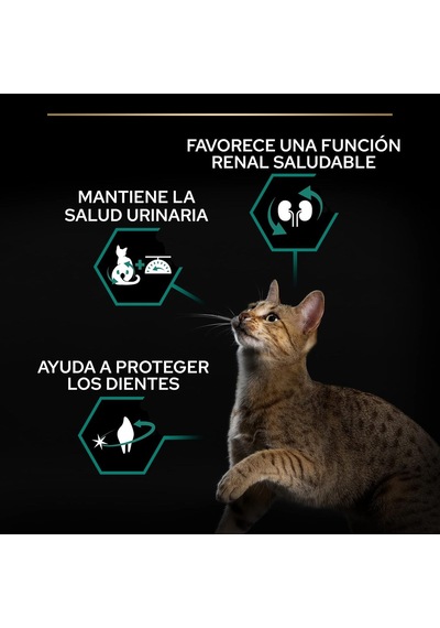 Sterilised Hindili Kısırlaştırılmış Kedi Maması 1,5 Kg