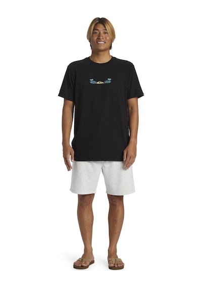 Quiksilver Quıksılver Salt Water Fleece Short Erkek Şort Aqyfb03035-qk.szth 001