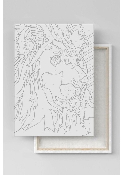 Webstyle Asil Gül Renkli Sayılarla Boyama Seti Kasnaklı 40x50 Cm
