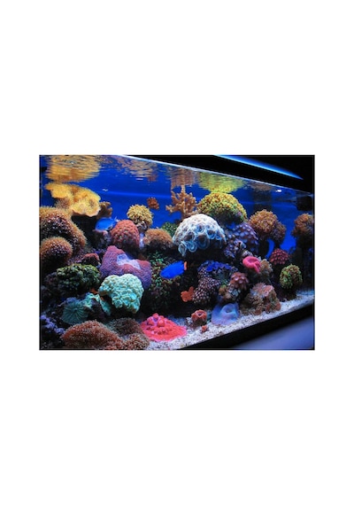 D-reef Serisi Deniz Akvaryum Aydınlatması App Kontrol Gün Simülasyon - D-reef-100-gri Kasa