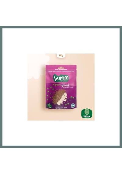 Bezos Organik Vegan Pancarlı Grissini 55 Gr Ventra