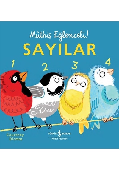 Sayılar - Müthiş Eğlenceli! - Courtney Dicmas - İş Bankası Kültür Yayınları