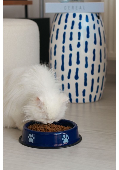 Emaye Kedi Köpek Mama Ve Su Kabı Pati Desen Flame