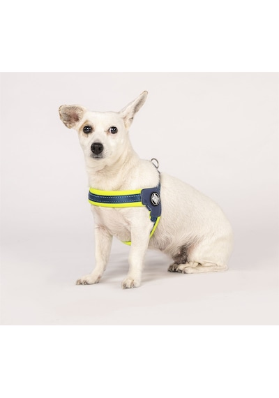 Max & Molly Q-Fit Matrix Yellow Göğüs Tasması Sarı XXS Sarı