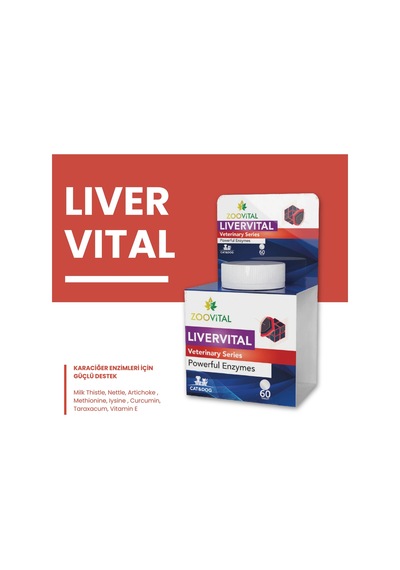 Livervital Kedi Ve Köpekler İçin Karaciğer Sağlığı Destekliyici Tablet