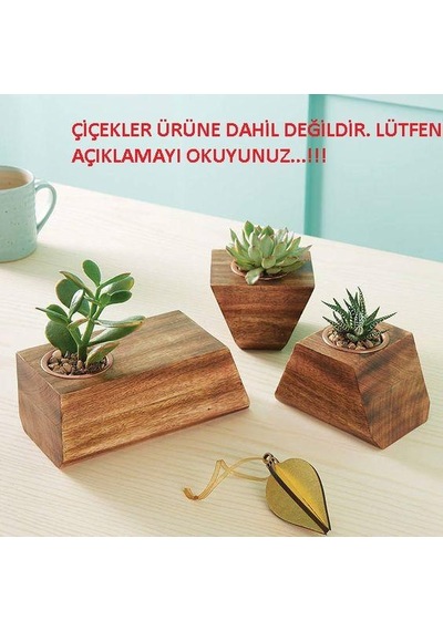 Çiceklik Zanaat Ahşap Çiçeklik / Dekor 3 Parça Dmodel