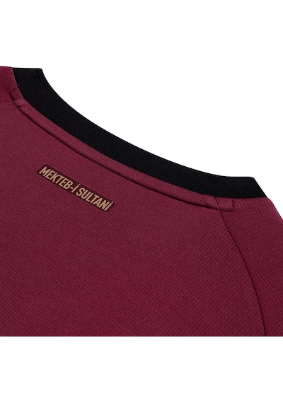 Gsstore Galatasaray S.k. Bordo Forma 25/26 Alternatif Forma Erkek Forma Bordo