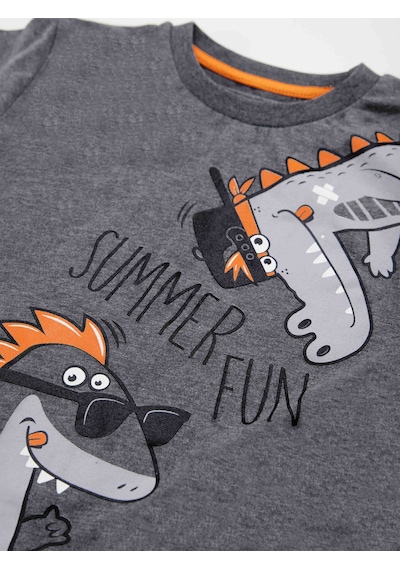 Denokids Summer Fun Erkek Çocuk T-shirt Kapri Takım Çok Renkli