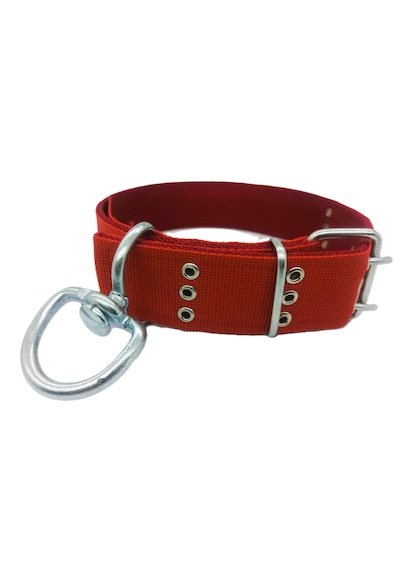 İri Ve Büyük Cinsler İçin Kanğal Köpek Tasması 80x5 Cm Kırmızı