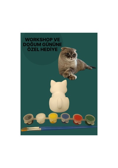 3d Kedi Figür Boyama Seti - Kendin Boya Hobi Ve Etkinlik Seti - Akrilik Boya + 2 Fırça