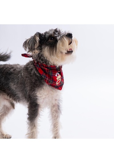 Rudy Bounce Geyik Nakışlı Ekose Desen Kırmızı Kedi Köpek Fuları Pet Bandana Köpek Bandanası