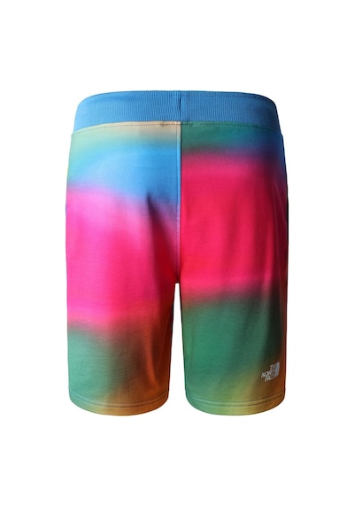 The North Face M Standard Short Lıght-eu Erkek Şort Nf0a3s4eıax1 001