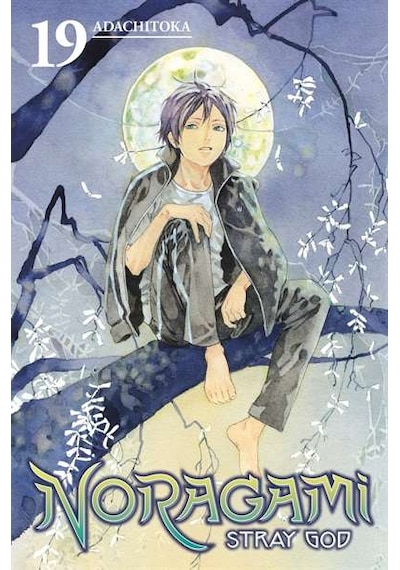 Noragami: Stray God 19 9781632364395