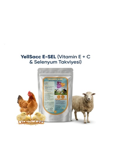 Kuş Ve Kanatlılar İçin Vitamin Takviyesi Yılsac E-sel+ C 100 Gr X 1 Adet