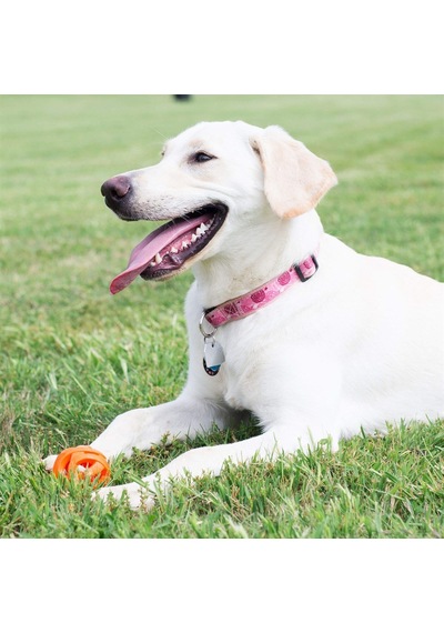 Chuckit Air Fetch Ball Orta Boy Köpek Oyun Topu 6.5 CM