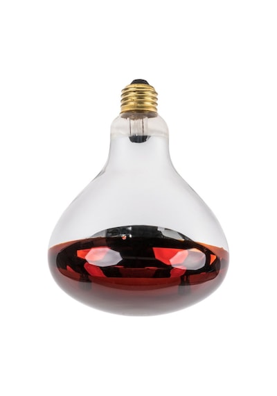 Isıtıcı Ampul 250 Watt