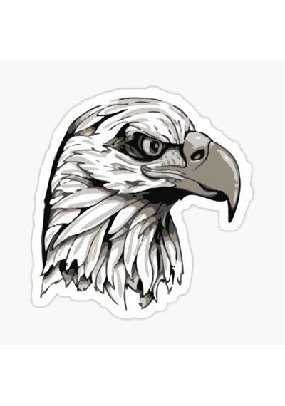 Araba Için Kartal Oto Sticker Yapıştırması Etiket 17Cm Zz6