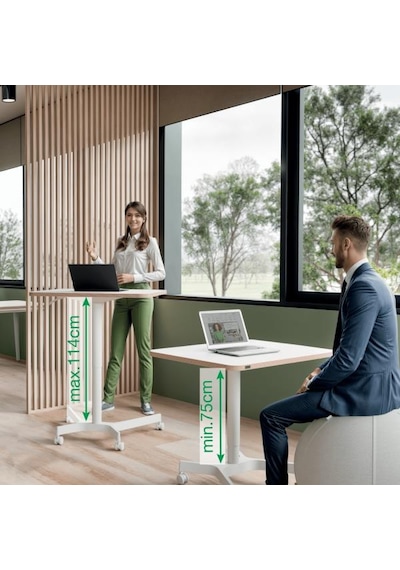 Leitz Ergo Küçük Sit Standing Çalışma Masası Kod:65360001 Beyaz
