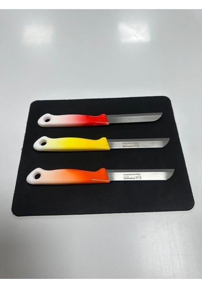 Solingen Slg-21 3.lü Eco Ebruli Meyve Bıçağı
