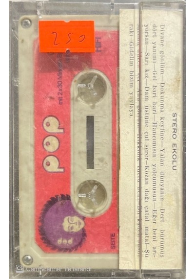 Plak Değildir Kaset Tir Bedia Akartürk Kaset