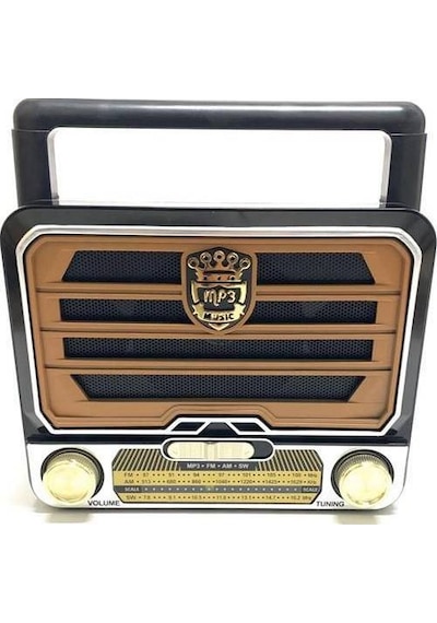 Everton Rt 313 Radyo