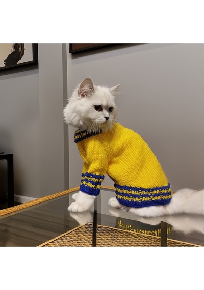 Kedi Ve Köpek İçin Sarı Kanarya Kazak
