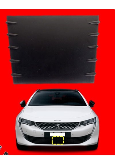 98173363xt Ön Tampon Radar Kapak 508 R8 2019-2021 Ön Tampon Radar Kapağı